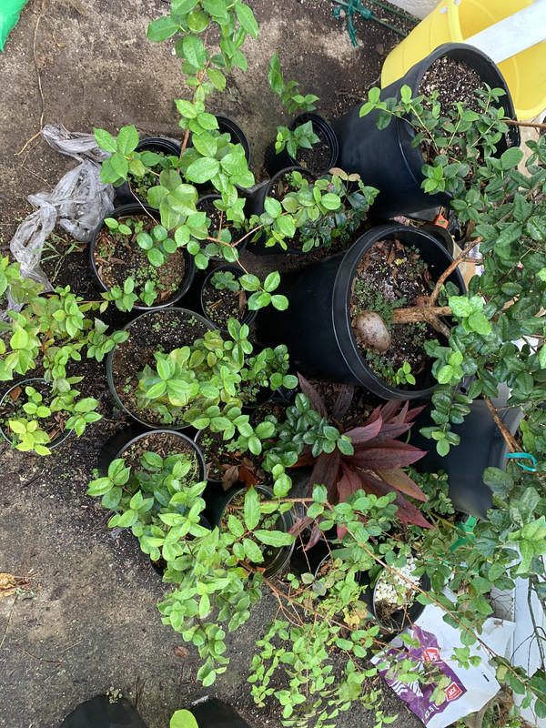 3BCB0D40-B301-4380-99B3-8F777EE1D34D