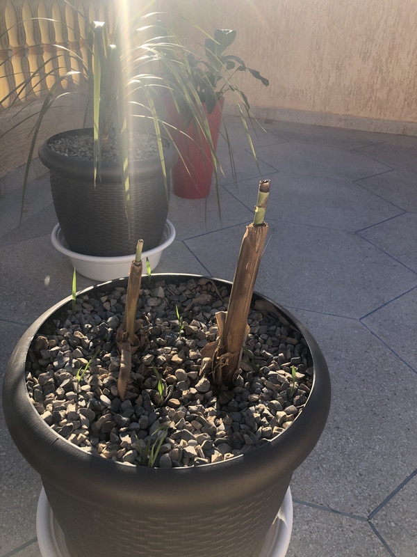 C5173ED6-600D-4EB7-A53A-C77FF2578230