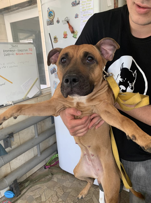 Снимок экрана 2024-05-25 в 20.41.20