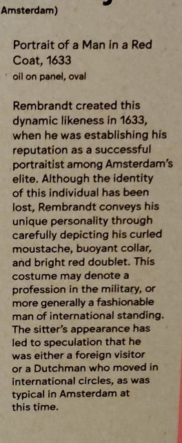Escapada por Amsterdam - La Haya - Delft - Rotterdam - Leiden - Londres - Blogs de Europa - Museo Mauritshuis, decepcionante Depot Boijmans y callejeo por Delft y Leiden (150)