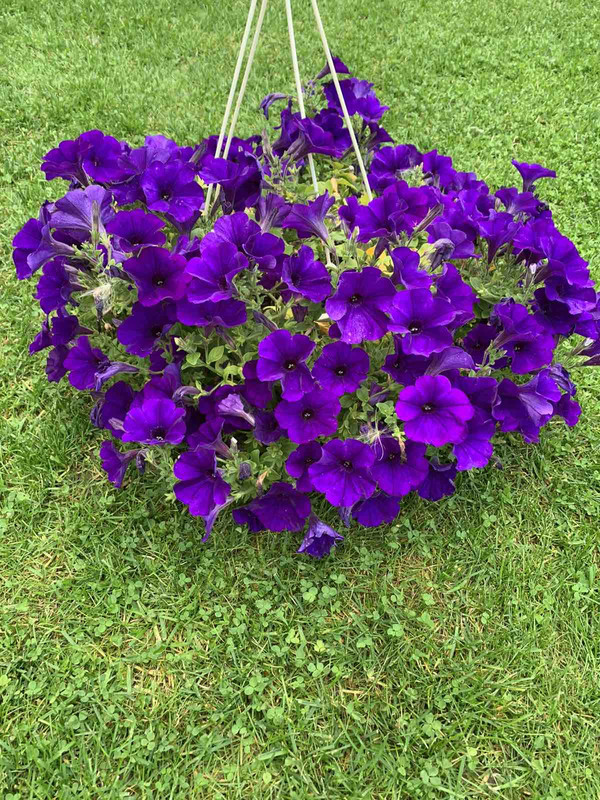 95308F3C-1AAB-4347-86BB-AD98D172E6A8