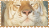 made by @transmascgarfield on tumblr