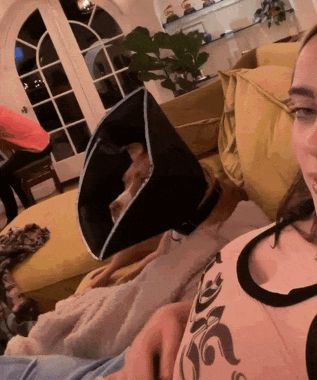 24064818.gif