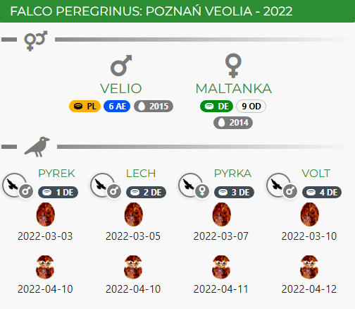 Poznań VEOLIA LIVE - Pagina 2 Przechwytywanie-w-trybie-pe-noekranowym-09-05-2022-180807