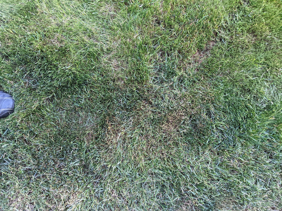 PXL_20210528_032516831