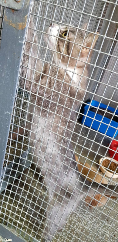 AFE193C5-7DD5-4B6B-9B9B-1403B4FCE466