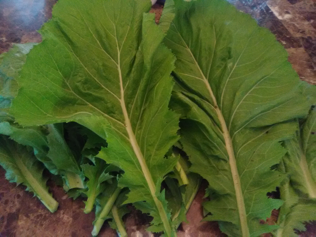 Đệ tử bà Wenn làm giá IMG-20190615-083716