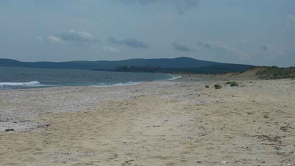 IMAG0955