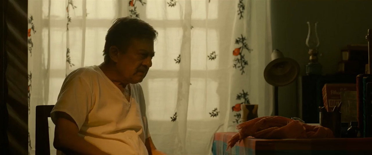 Vijayanand 2022 WebRip [Hindi + Tamil + Telugu + Malayalam + Kannada] 480p, 720p ESub Screenshot
