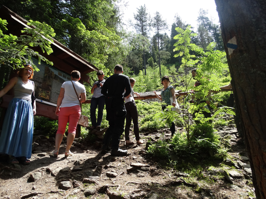 188 - DSC01483 (TomaszK)