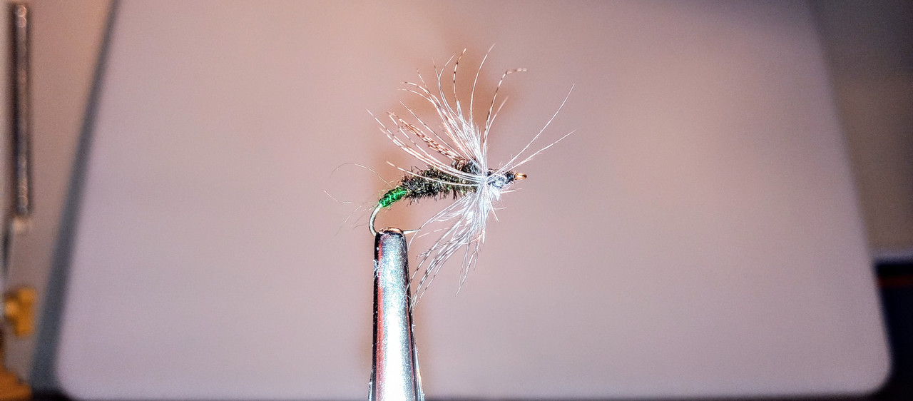 unknown soft hackle