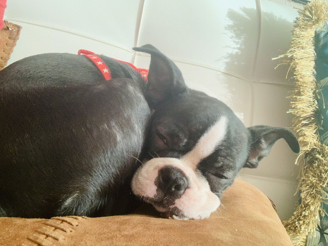 63915F0D-5668-4759-9F14-3905E4D93C6B