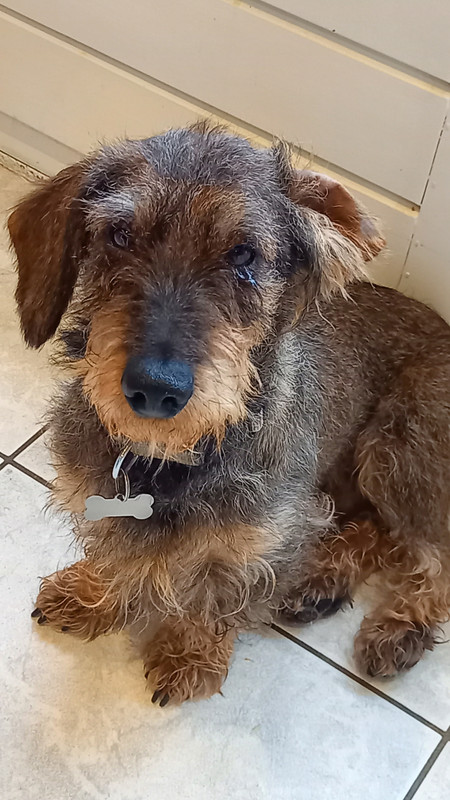 [Image: 20230312-080802.jpg]