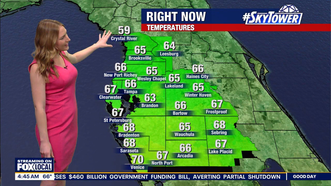 FOX13s Good Day Tampa Bay at 400am_20240307_09000930.ts_snapshot_46.47.116