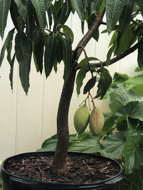 02F0EE94-257F-4926-8C74-660D0F944BAA