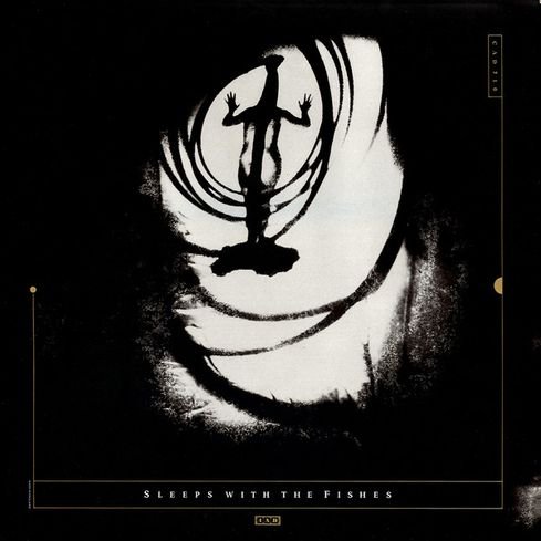 Pieter Nooten + Michael Brook - Sleeps With The Fishes (1987) [Vinyl Rip 1/5.64] DSD | DSF + MP3