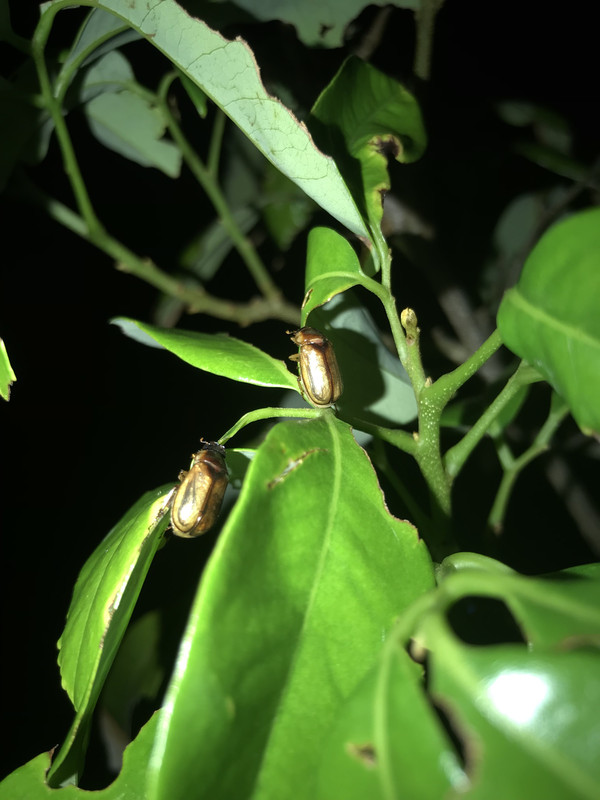 23738682-CFC1-48E6-886A-EDF53CCAEAEE