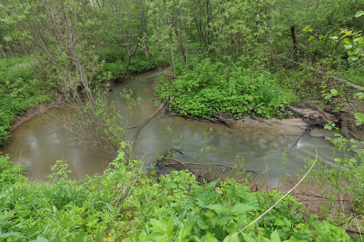 IMG_5585 (2592 x 1728)