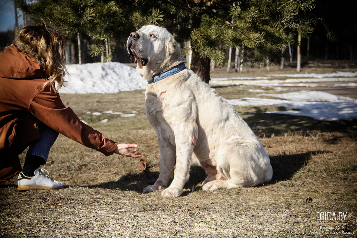 5356803F-0A48-4198-A94B-EFA66F519AD0