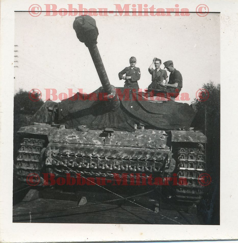Dänemark Stug-Abt.400 Sturmgeschütz Langrohr  Punkt-Tarnung 1944