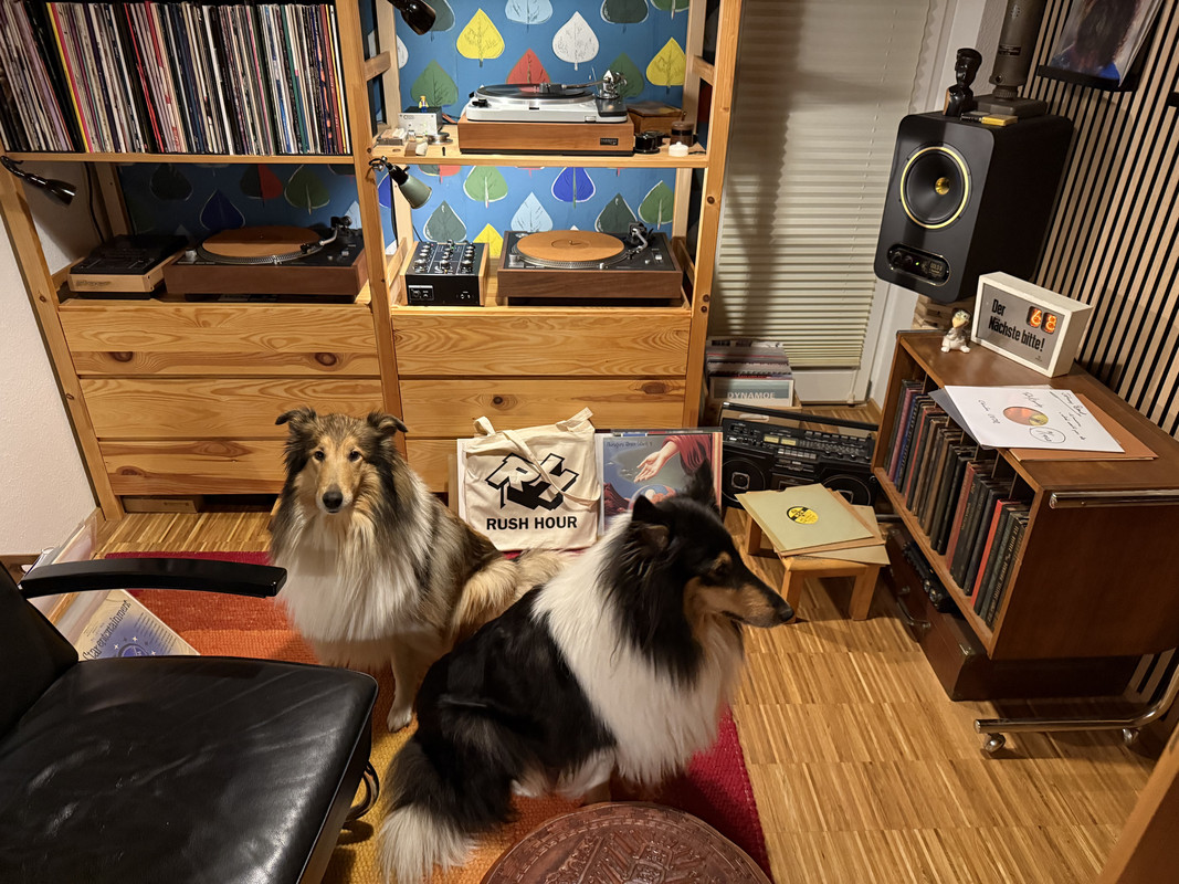 [Bild: betty-moon.jpg]