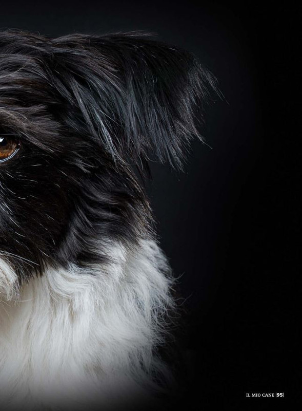 Il M C Dic 2021 (12)