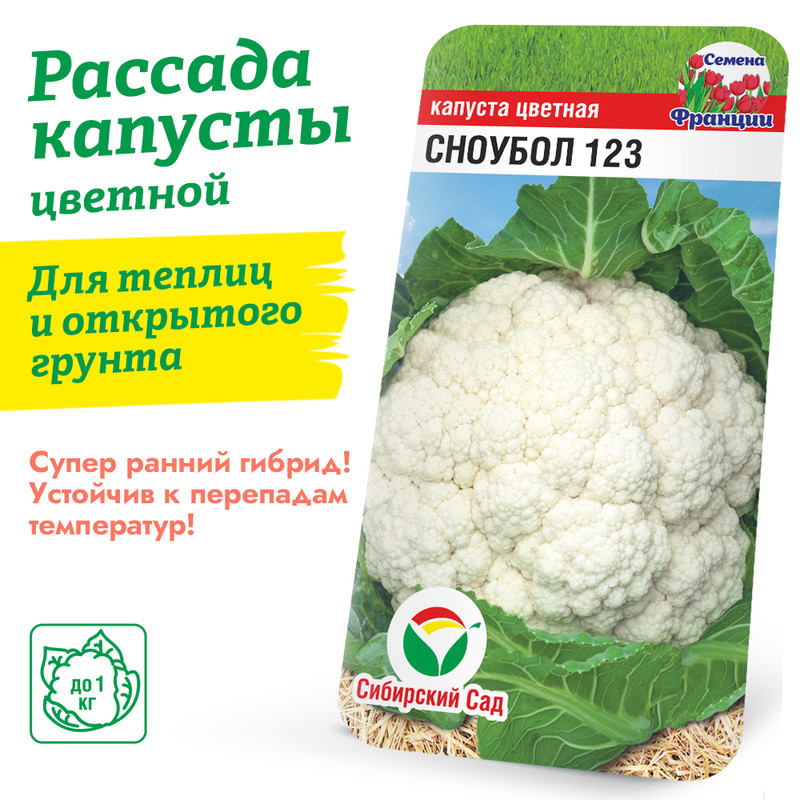 Капуста цветная Сноуболл