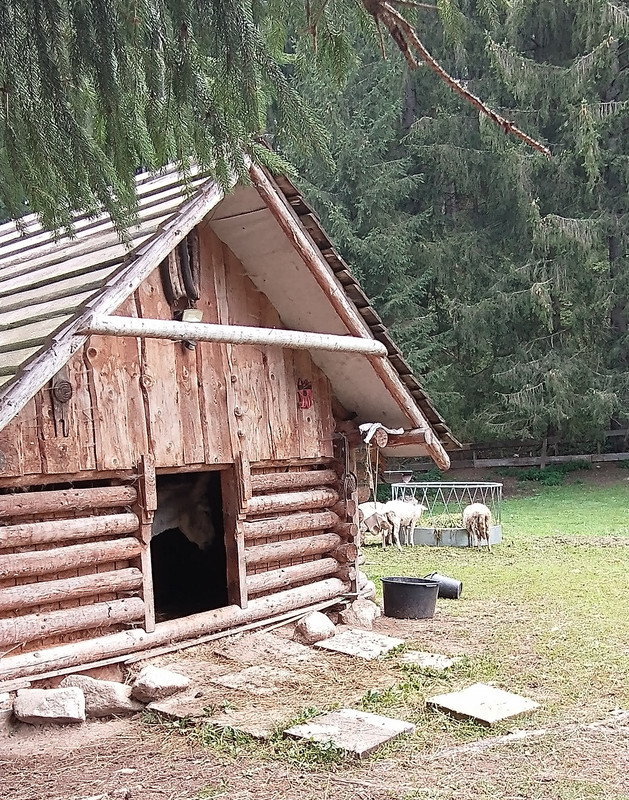 IMG_20230915_114404115~2