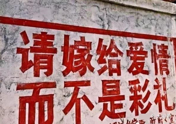 圖 娶外配整體來說對台灣不好吧
