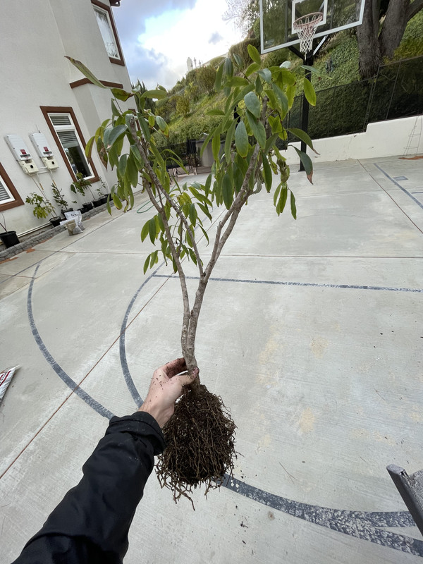 F8CA68F6-BB71-4AA3-BCD0-98ECF34EBC52