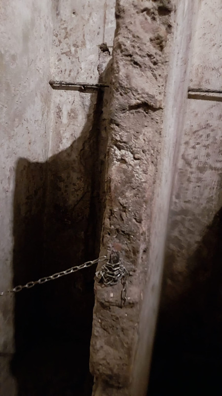 WhatsApp Image 2023-10-12 at 21.12.00 (2)