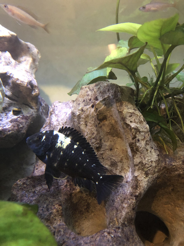 90491053-C8E2-4899-9C84-EB2845DE019D