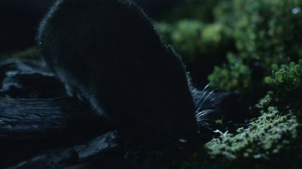 [Image: as7qf2d2qq6i.jpg]