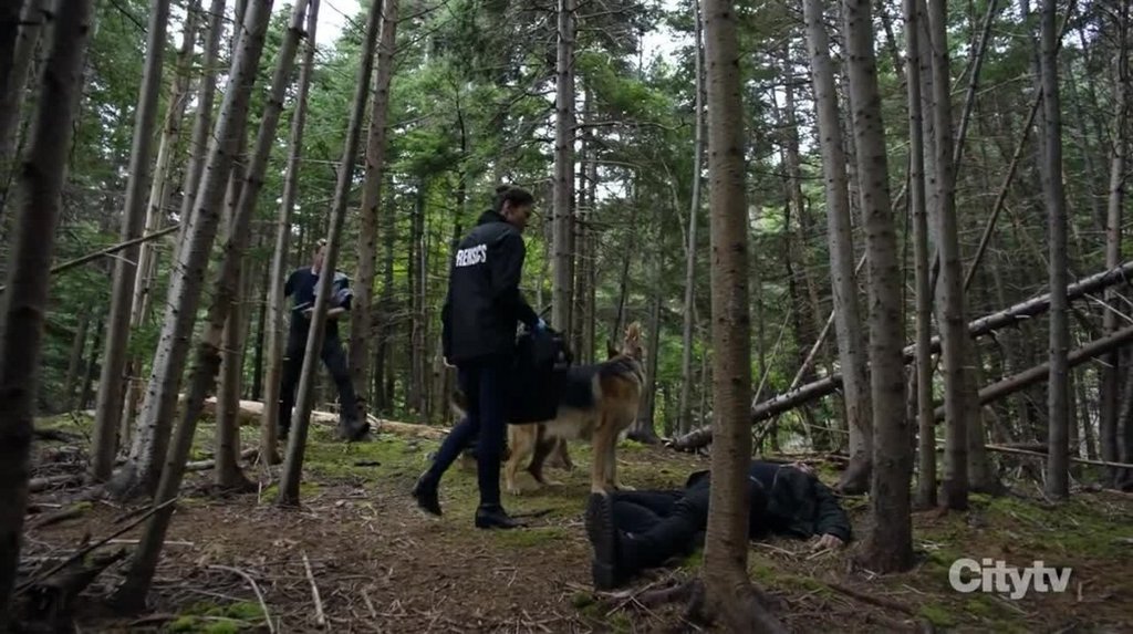 [Image: t3rduccuy934.jpg]