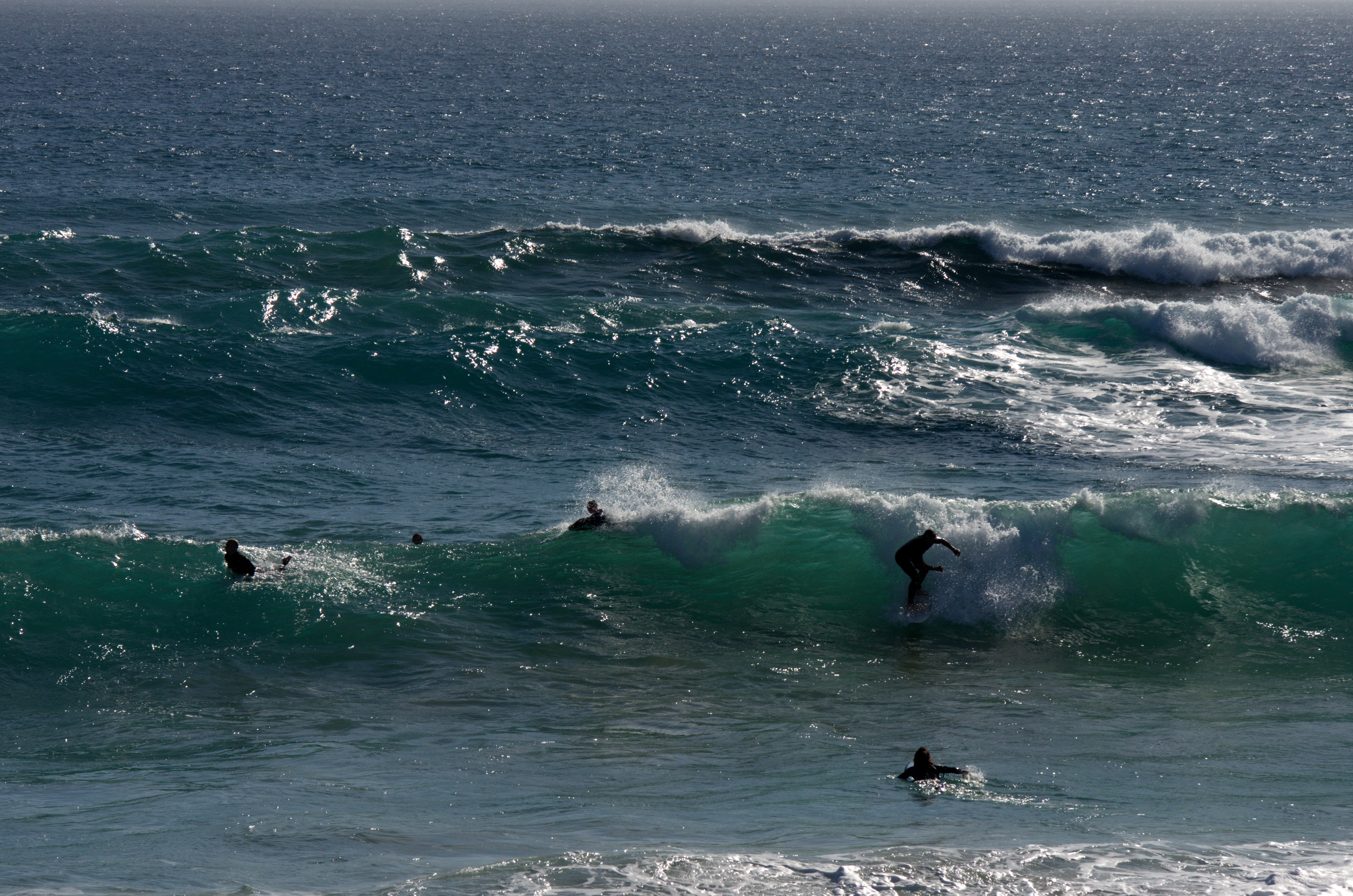 Surfs-Up-at-Gunamatta-16x10.jpg
