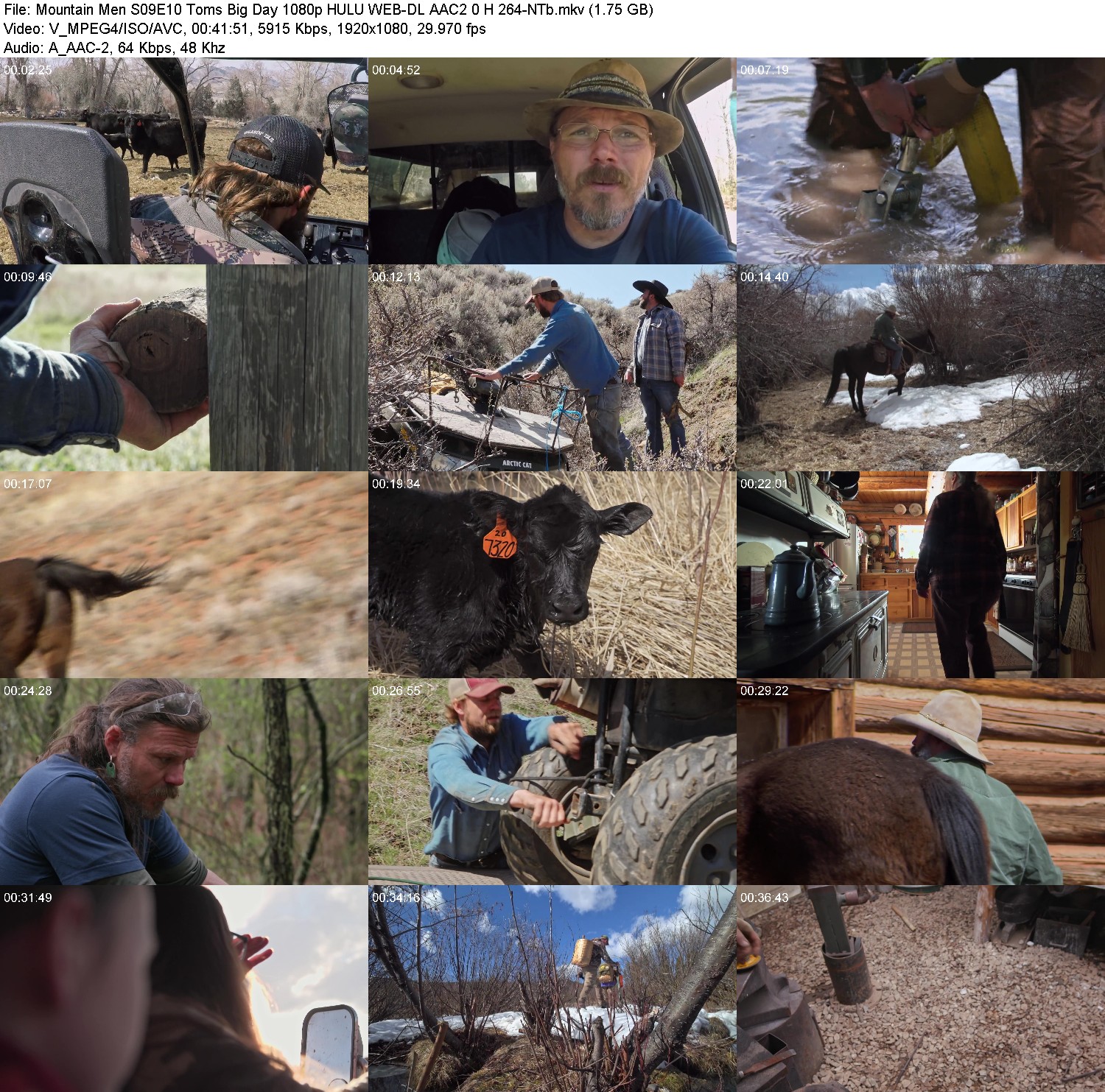 [Image: tv67lemix2a9.jpg]