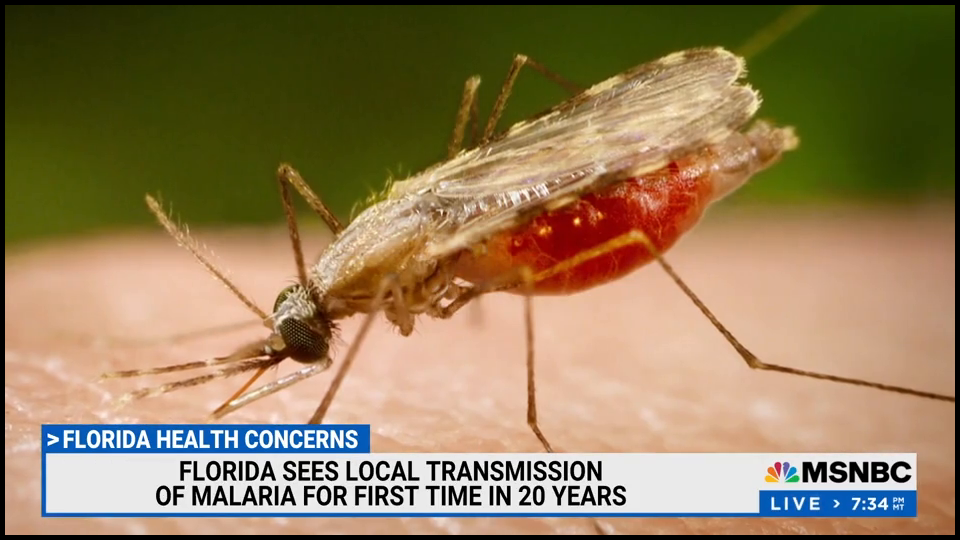 [Image: 873jqjwsk5yu.png]