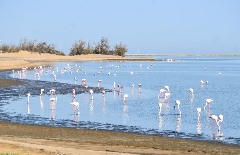 Африканские каникулы - зверики Крюгера, пески Намибии, воды Виктории