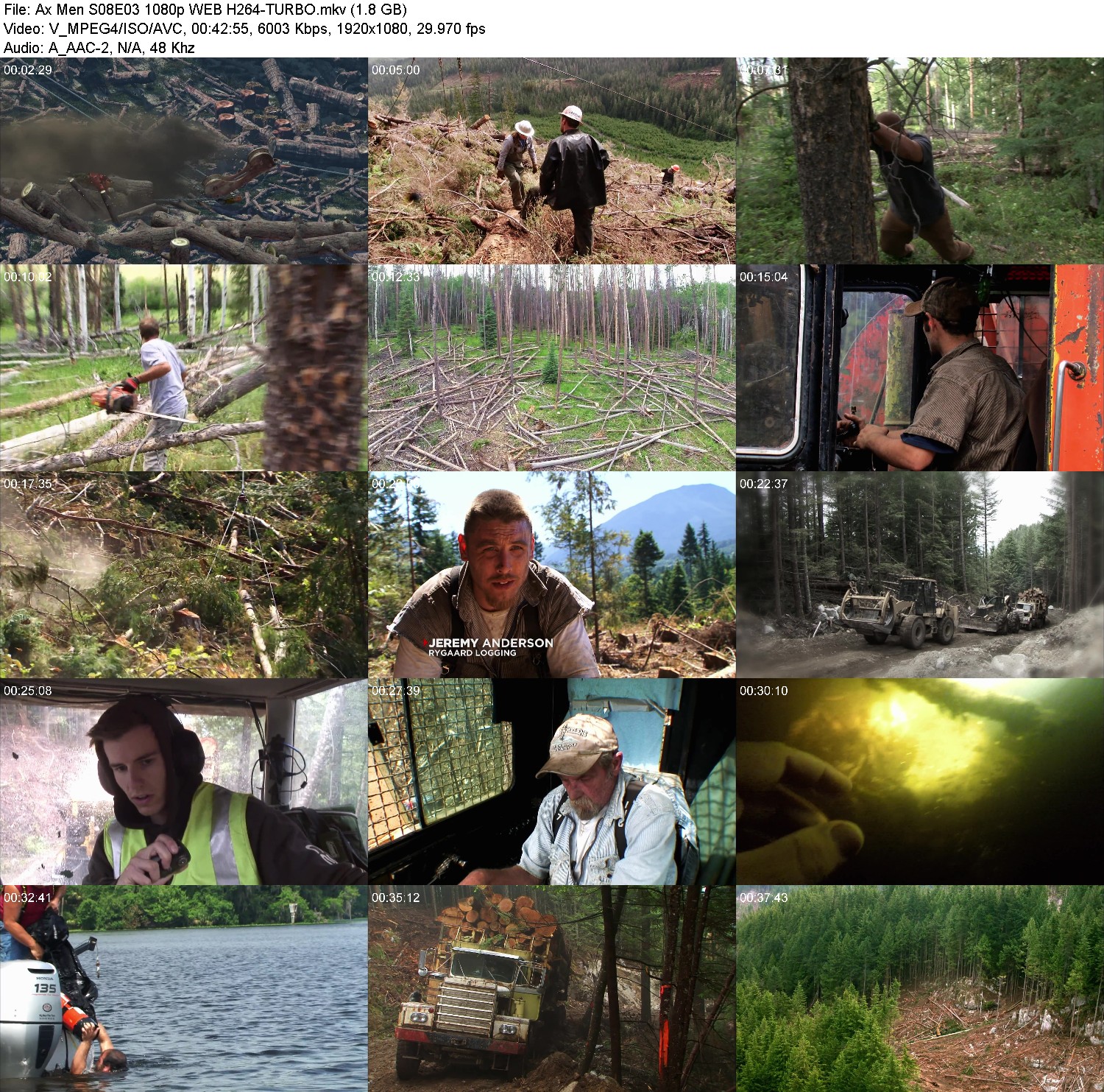 [Image: ncqu3251owgc.jpg]