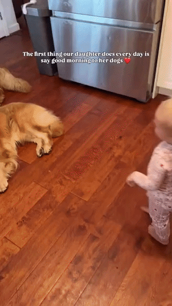 ezgif-60d27000ee4d6517.gif