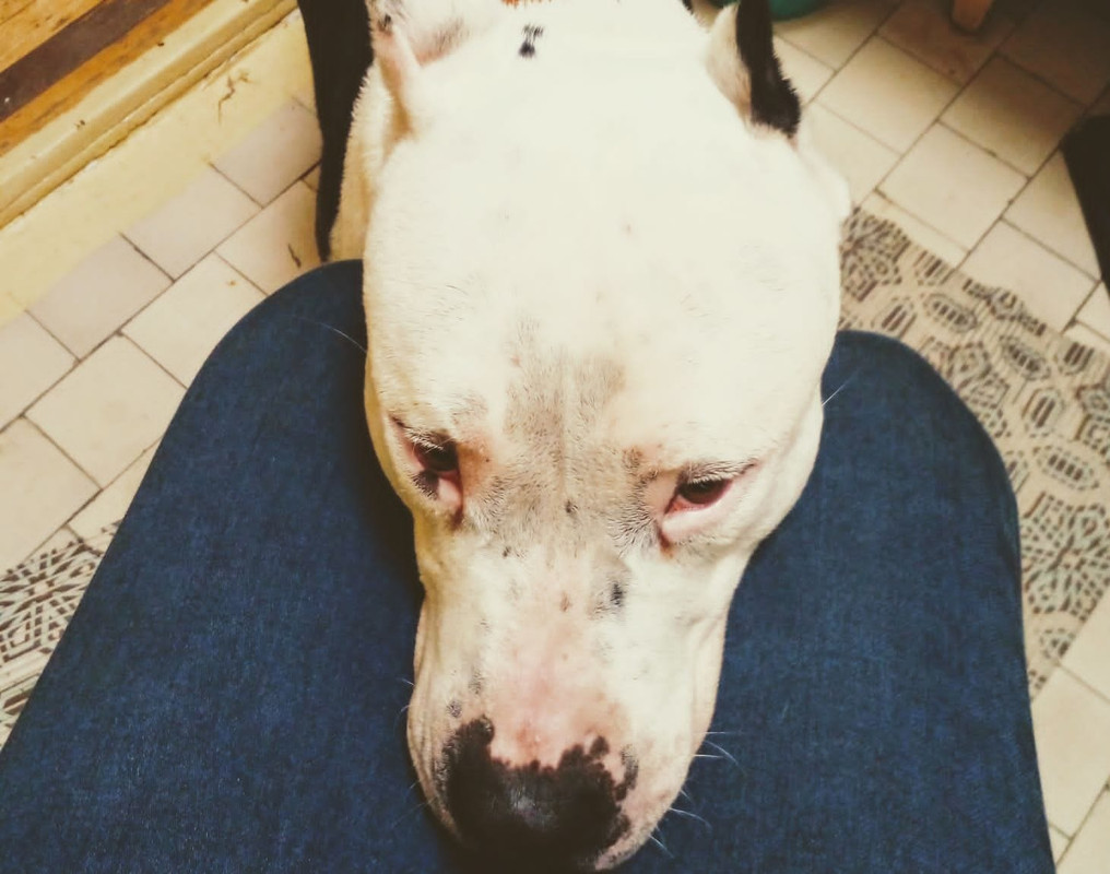 A2952791-9289-4842-92C8-D4443527DE56