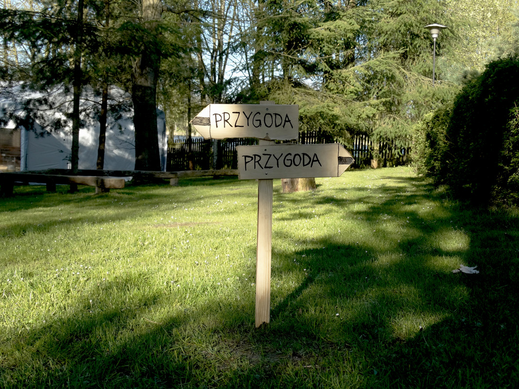 01.09 - DSC06731 (Czesio1)