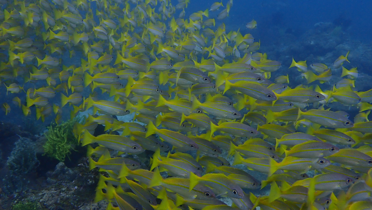 6F95C352-11CB-410E-B0AC-973422095151