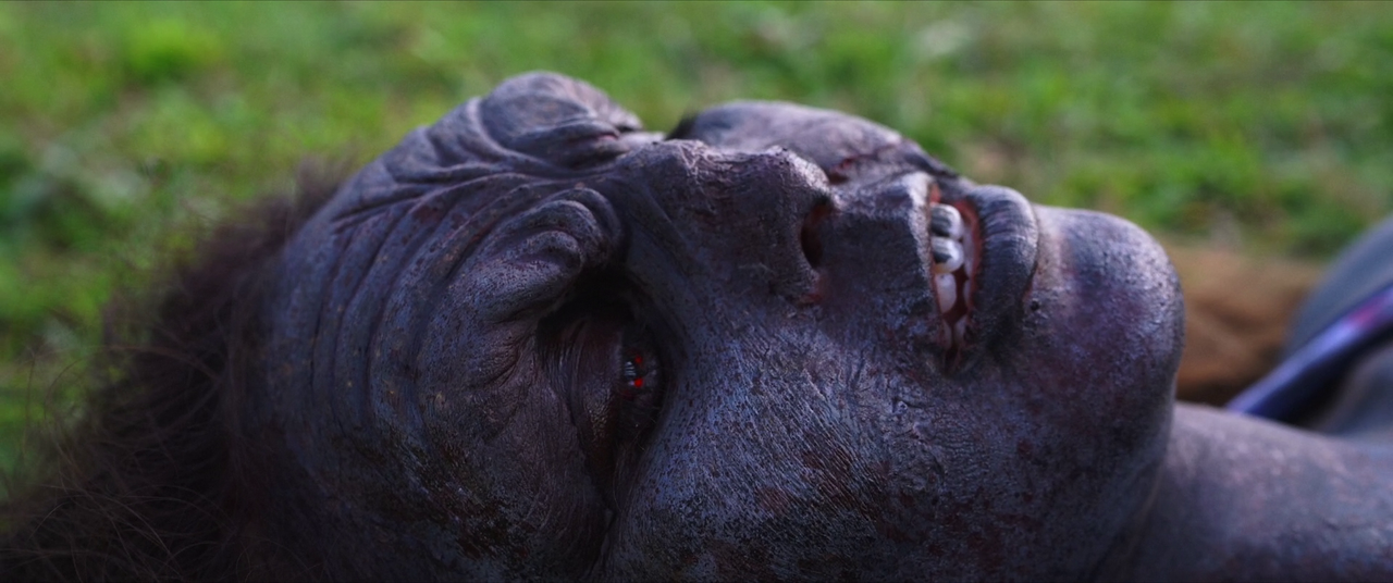 vlcsnap-2024-05-14-10h42m24s752