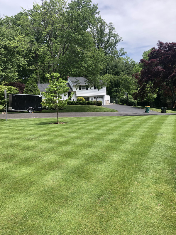 01362879-2FEA-43A8-8016-60A46F21CD0F