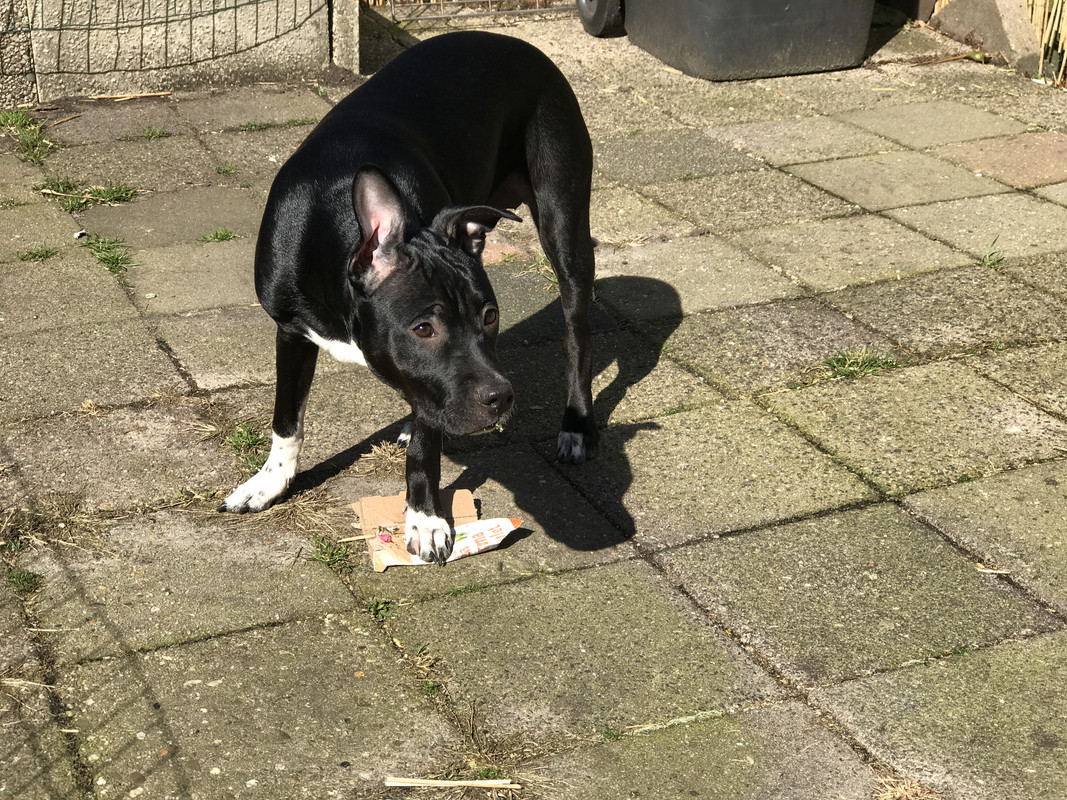 5162A90F-A6CC-4079-BD68-A6D707D40582