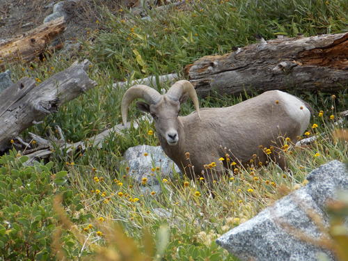 836789.JPG_1482541389270