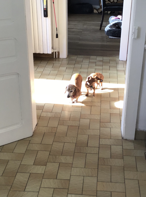 [Image: 9-A1-AA9-C7-72-B4-4609-99-F5-5-F4-D8-C3086-F8.jpg]