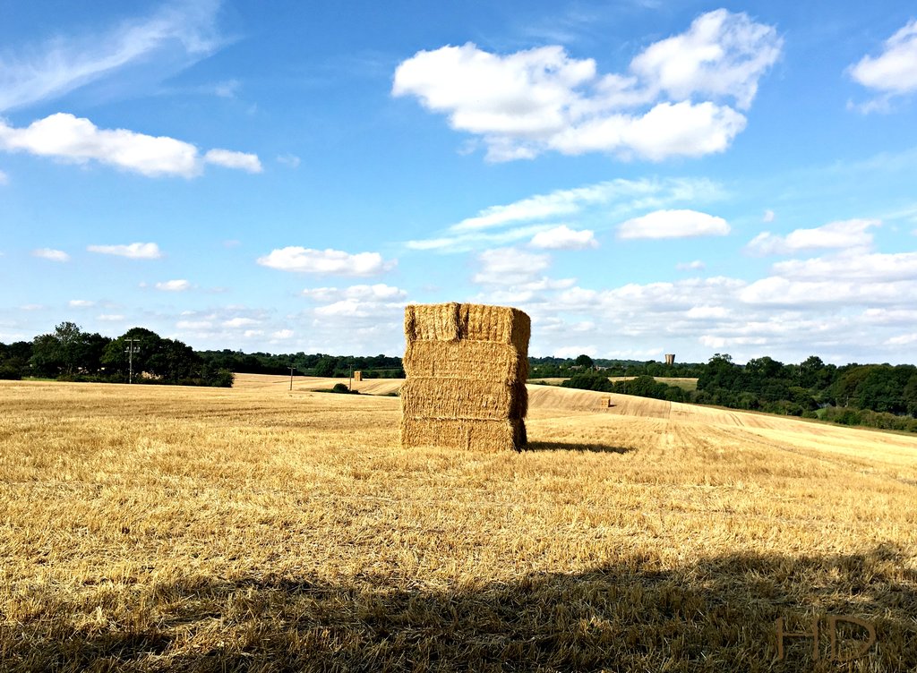 haystacks6-HD.jpg