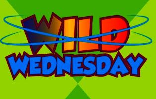 Wild-Wednesday